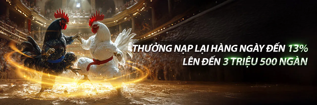 Sân vận động thể thao sôi động với logo Nhatvip